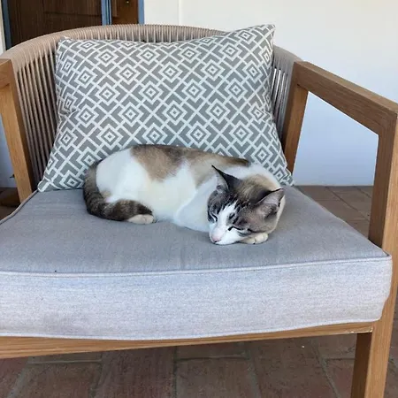 Дом отдыха Casa Paz