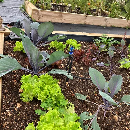 Дом отдыха Casa Paz *