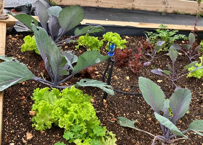 度假居 Casa Paz *