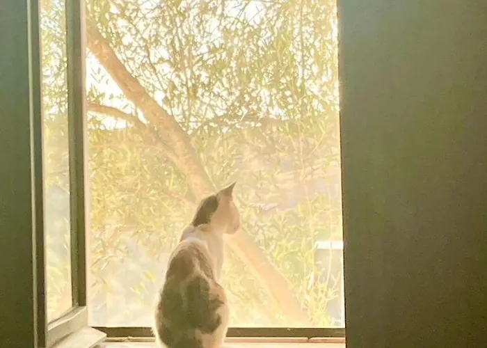 度假居 Casa Paz 塔维拉